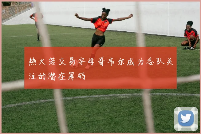 热火若交易字母哥韦尔成为各队关注的潜在筹码
