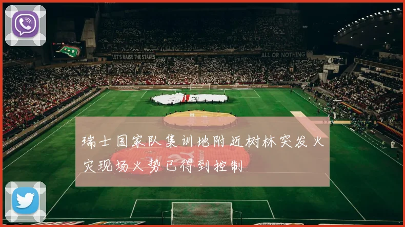 瑞士国家队集训地附近树林突发火灾现场火势已得到控制