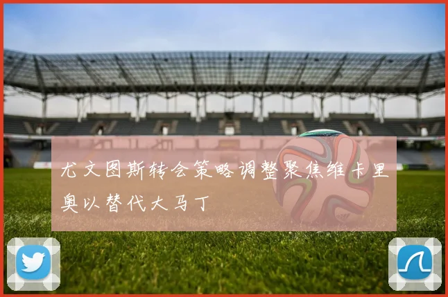 尤文图斯转会策略调整聚焦维卡里奥以替代大马丁
